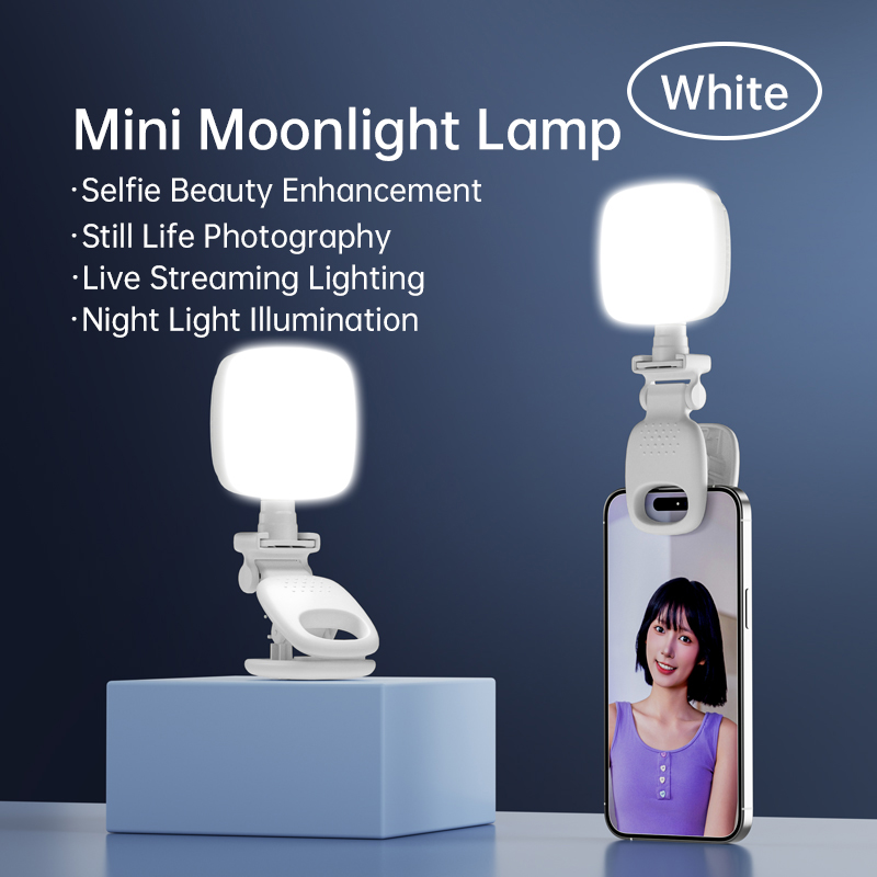 ポータブルLEDセルフィーライトカメラミニフィルライト充電式 - Photography Lighting Continuous のレビューと価格