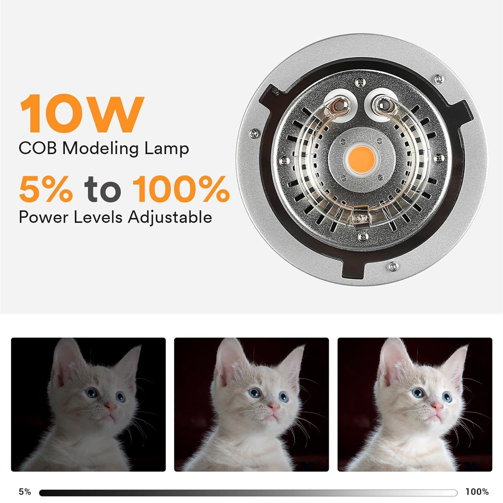 ゴドックス MS200V スタジオストロボフラッシュライト  - Photography Lighting Portrait のレビューと価格